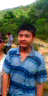 H.quan